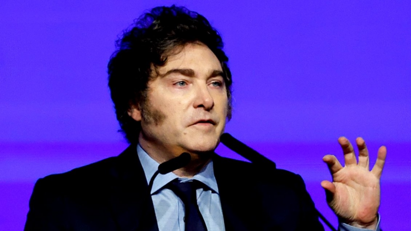 Milei apuntó contra el aborto por la caída de la natalidad en Argentina: ¿qué muestran las cifras?